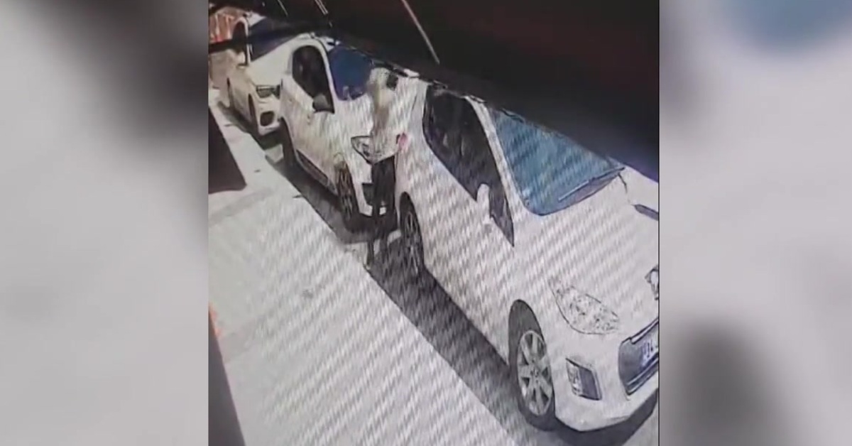 İstanbul’da hırsızlık ve yağma şüphelilerine tutuklama